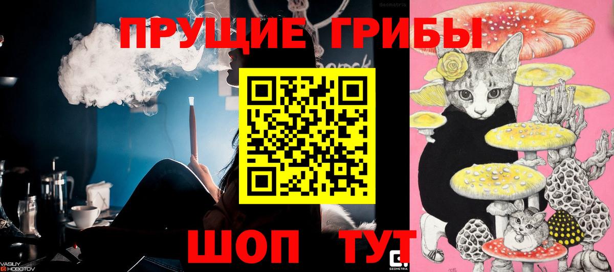 Усть-Илимск  Галлюциногенные грибы мухоморы  Вход с VPN 